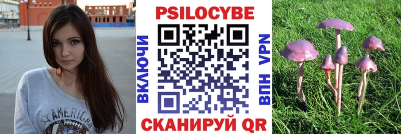Галлюциногенные грибы Psilocybe  Купить где  Арск 